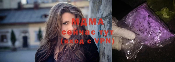 молекула духа Новозыбков